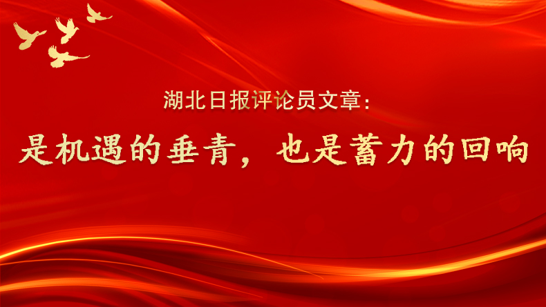 是机遇的垂青，也是蓄力的回响