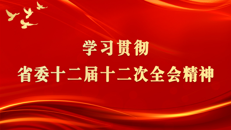 中共湖北省委十二届十二次全体会议举行